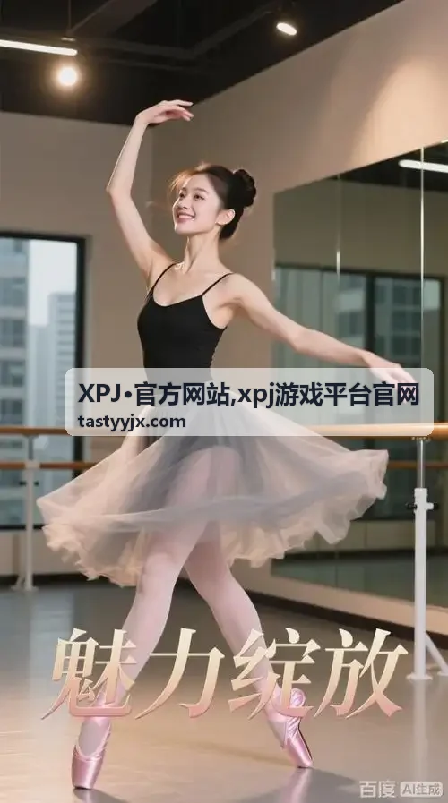 xpj游戏平台官网页面访问说明封面